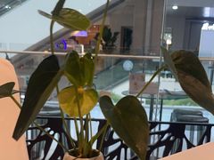 -眉州东坡(华联万柳店)