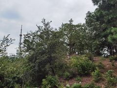 -敬亭山风景名胜区