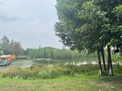 -白鹭湾湿地公园