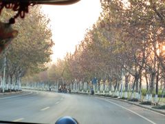 -阳澄湖半岛旅游度假区
