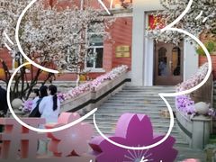 -天津市口腔医院(和平本部)
