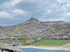-中华福寿山