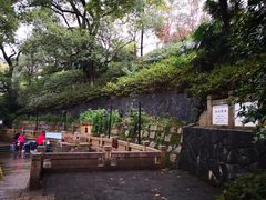 -白沙古井