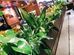 -管氏翅吧(台湾街店)