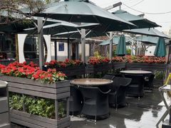 -勝記酒家·37年老字号·经典粤菜(南山花园城店)