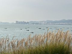-海源公园