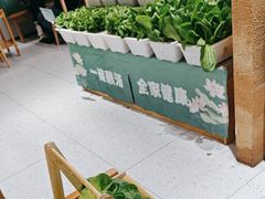 -九孔·筒骨莲藕汤锅(大明宫万达店)