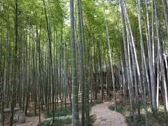 -苏州环秀晓筑养生度假村