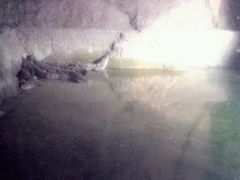 picture-南京汤山紫清湖生态旅游温泉度假区