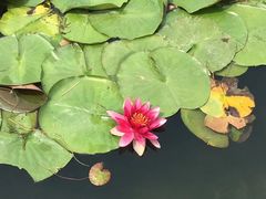 -尚贤河湿地