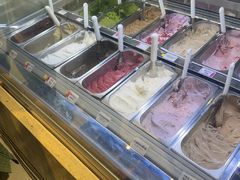 -鹤茶野所(上海首店)