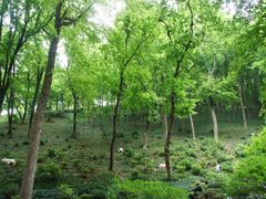 -永泉忆江南12景区