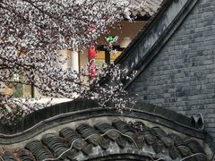 -凤城河风景区
