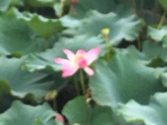 -江南大学(蠡湖校区)