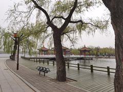 -长春市南湖公园