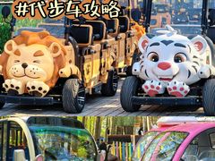 -合肥野生动物园