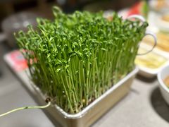 -海底捞火锅(龙湖北京大兴天街店)