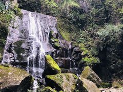 -藏龙百瀑风景区