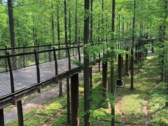 -黄海国家森林公园