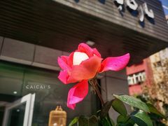 门面-玛尔哈巴·塔塔尔糕点(华侨小区店)