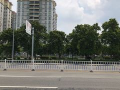 -细村农贸综合市场