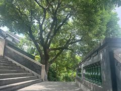 -广州神农草堂中医药博物馆