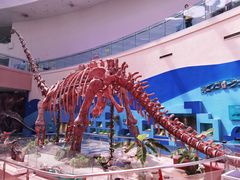 -陕西自然博物馆