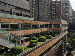 -香港大学