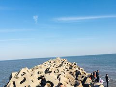 -东疆建设开发纪念公园