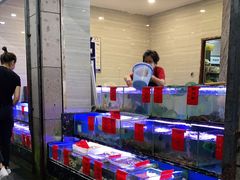 水产区-金海湾海鲜排档(朱家尖店)
