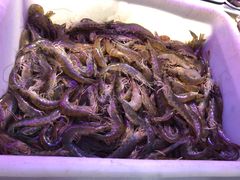 -春华海鲜城(广场西苑店)