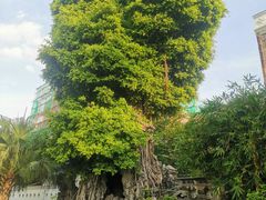 -荔湾博物馆