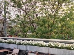 -苦尽酒馆·川菜(鼓楼店)