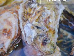 -爱蚝屋