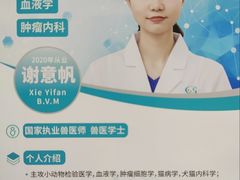-北京观赏动物医院·24小时大型综合·猫专科·异宠专科