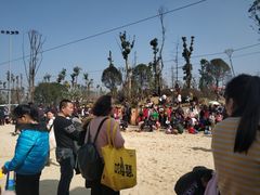 -枫香湖儿童公园