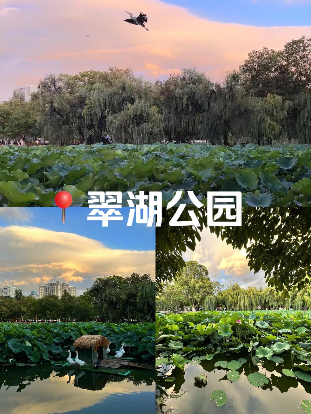 昆明翠湖公园地址图片