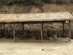 -栾川竹海野生动物园