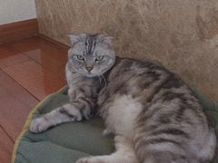-Catmate·猫肥家润(金润铂宫店)