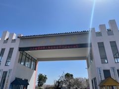 -天王浮山樱花园