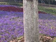 -范蠡湖公园