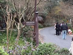 -九曜山