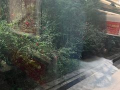 -韶关站