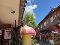 -菌自由丨野生菌火锅特色庭院餐厅(丽江古城店)
