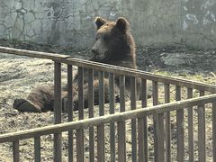 -哈尔滨北方森林动物园