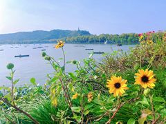 -湖畔居茶楼(湖滨店)