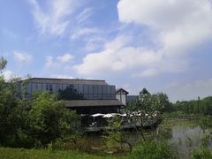 -白鹭湾湿地公园