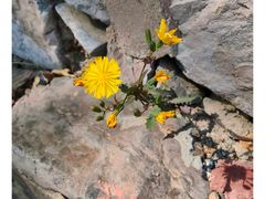 -北京上方山国家森林公园