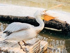 -济南野生动物世界