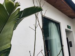 -云里小坐·小院里·团建·宴请·下午茶(三圣乡店)